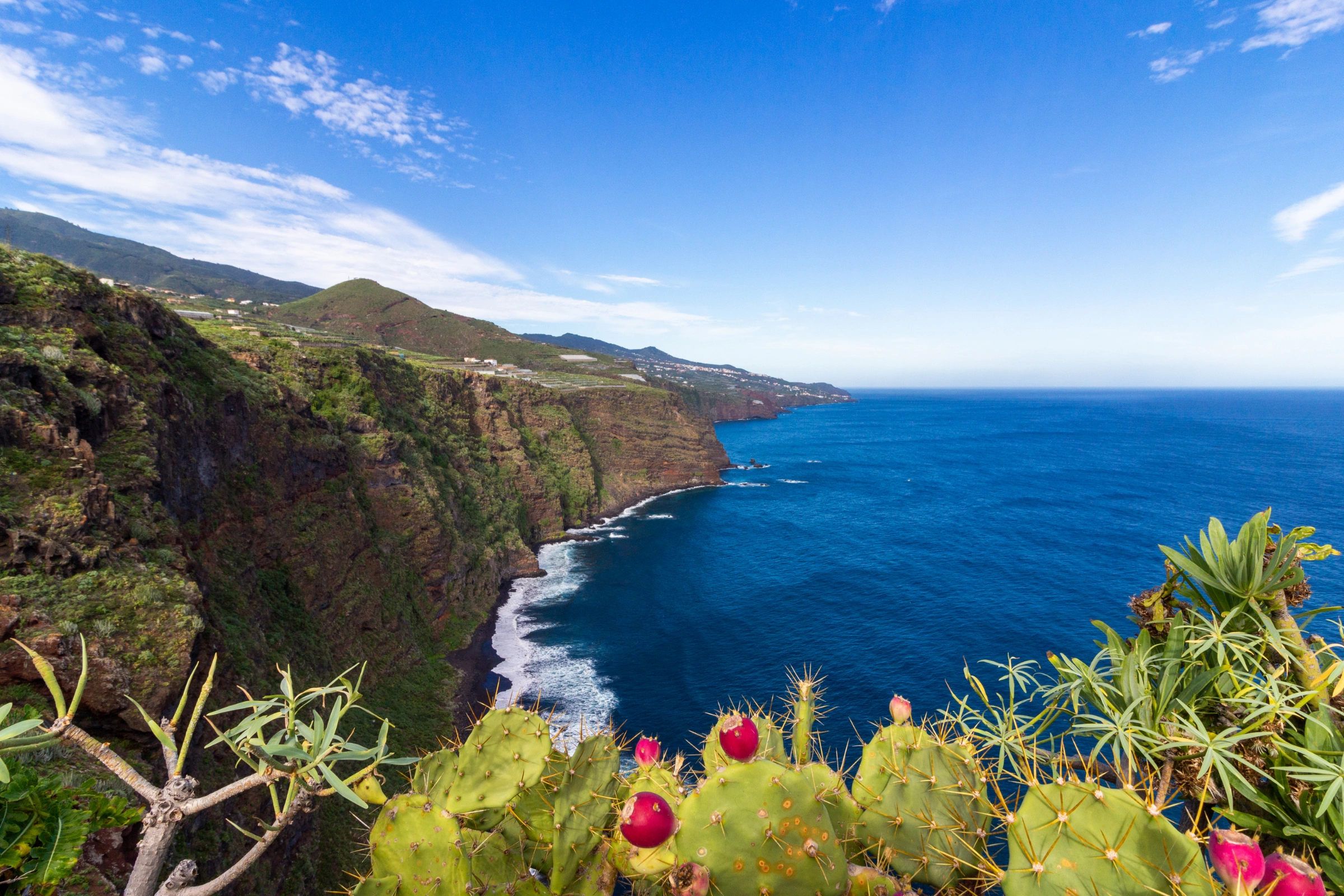 La_Palma,_Canary_Islands[1].webp